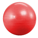 '   Landfit Fitness Ball 55 