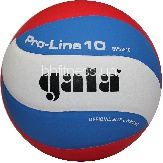 Волейбольний м'яч Gala Pro-Line BV5121SA