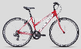  CTM MAKSIMA 1.0 (16", 18")
