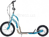  Yedoo City SkyBlue/Gold