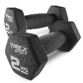 ������ ��������� TREX Sport TX-020VD 2x2 ��