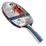     Butterfly Timo Boll Silver