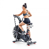  Schwinn Airdyne AD8