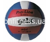 Волейбольний м'яч Pro-Line BV4051SAE
