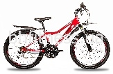 Premier Pegas 24"