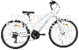  Pride Lanny SKD-18-89