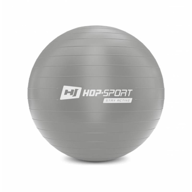 Фітбол Hop-Sport 55cm HS-R055YB silver + насос