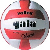 Волейбольний м'яч Gala Bora BV5411SCE