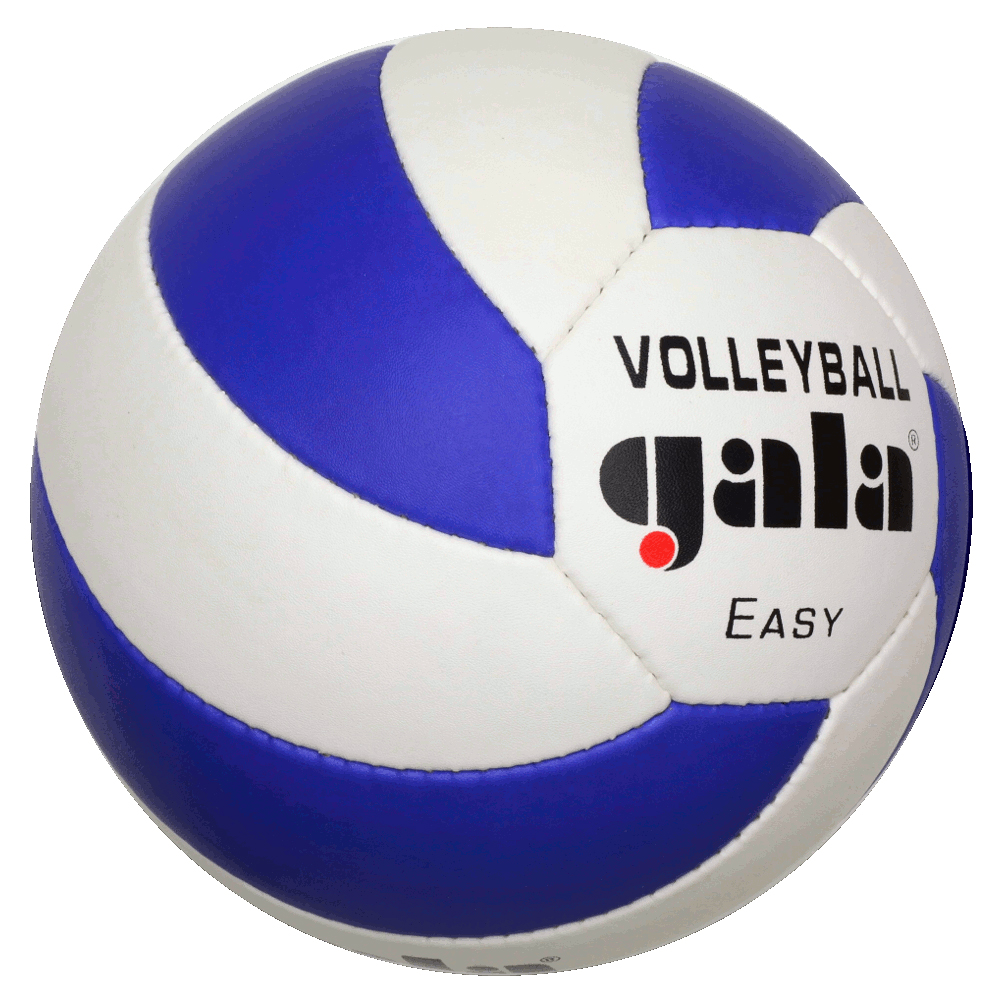 М'яч волейбольний Gala Easy BV5083SC