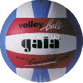 Волейбольный мяч Gala Training BV5531SBE