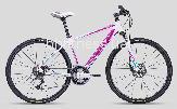  CTM ELITE 1.0 ( 17", 19")