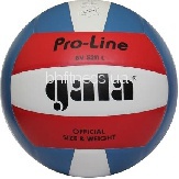 Волейбольний м'яч Gala Pro-Line BV5211LAE