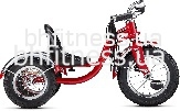  Schwinn Roadster Trike SKD-31-58