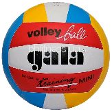 Волейбольний м'яч Gala Training BV4041SB*E