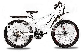  Premier Pirate 24"