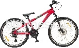  Formula Dakar DD 24"
