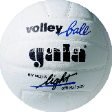 Волейбольний м'яч Gala LightWhite BV5021SBE