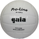 Волейбольний м'яч Gala Pro-Line BV5211SAE