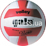 Волейбольный мяч Bora BV5411SCE