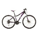  Rock Machine Camile 60 - 16"