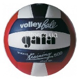 Волейбольный мяч Gala Training BV5241SBE