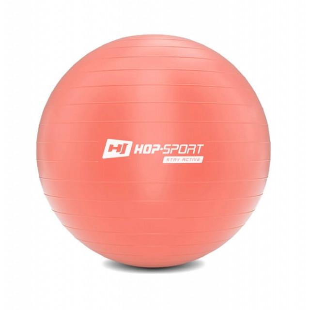 Фітбол Hop-Sport 55cm HS-R055YB light pink + насос