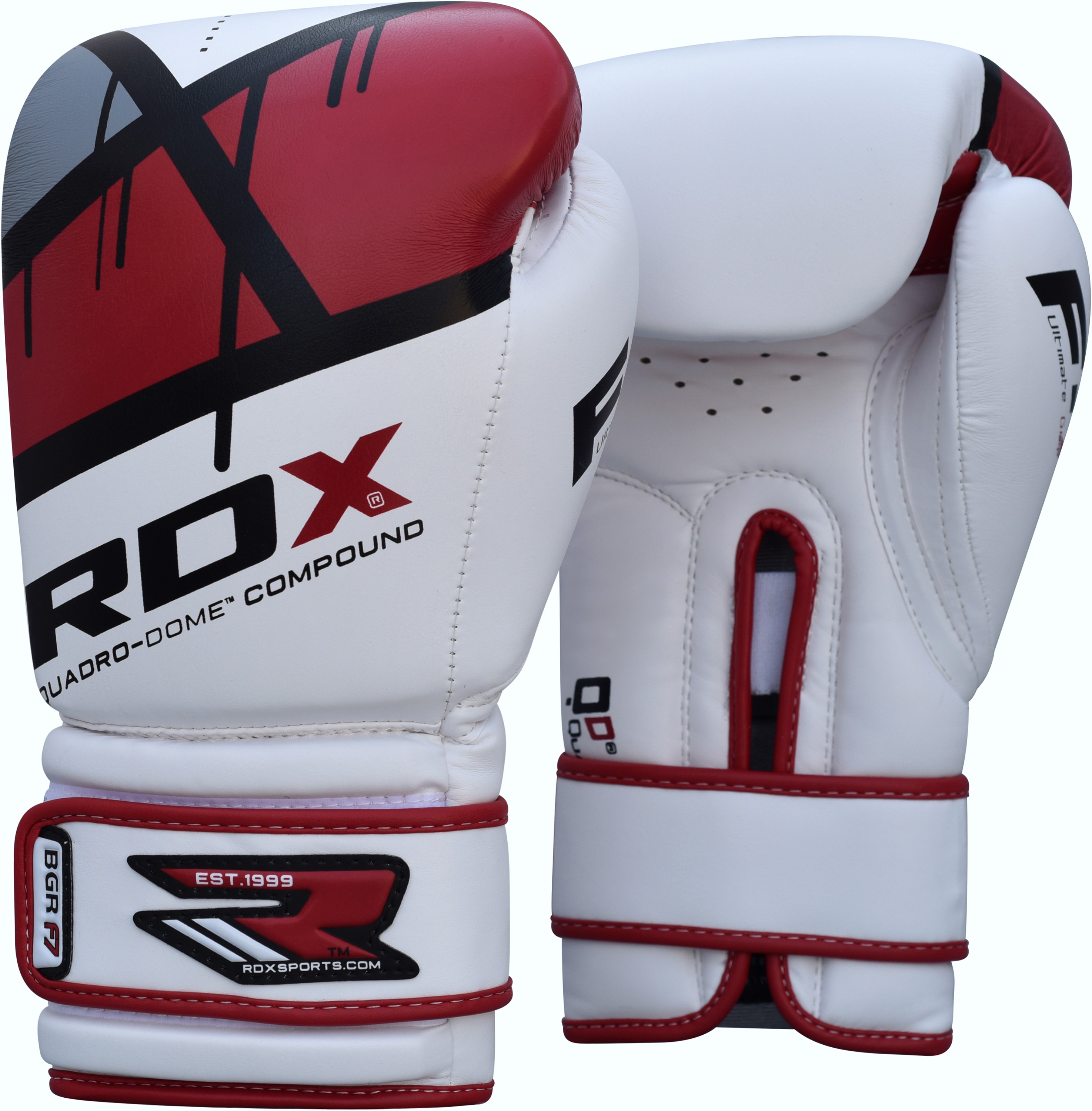 Боксерские перчатки RDX Rex Leather Red 10 ун.