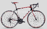 Велосипед CTM SPINN 1.0 (рама 540, 560, 580)