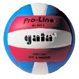 Волейбольний м'яч Gala Pro-Line BV5011SAE