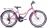  Premier Pegas24 13" SP0000351