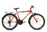  Premier Texas 26 19" SP0001499