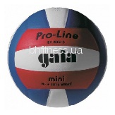 Волейбольний м'яч Gala Pro-Line BV4051SAE