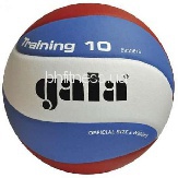 Волейбольний м'яч Gala Training BV5561SB