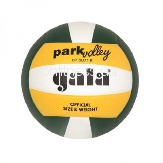 Волейбольний м'яч Gala ParkVolleyball BP5071SC*E